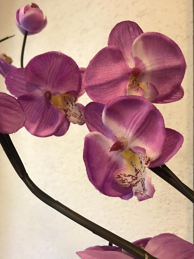 Chata Rosa Malenovice  ภายนอก รูปภาพ